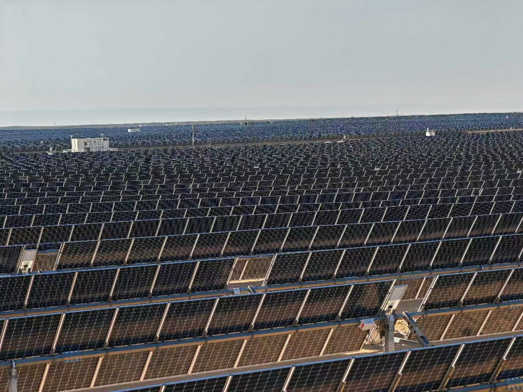 1736254296733921.jpg 1734434115444.jpg